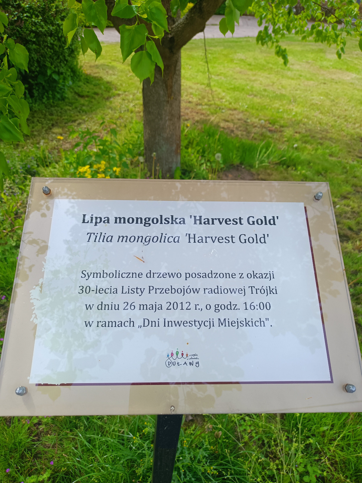 3cbce6ca-7b52-42ec-815d-46874d763213