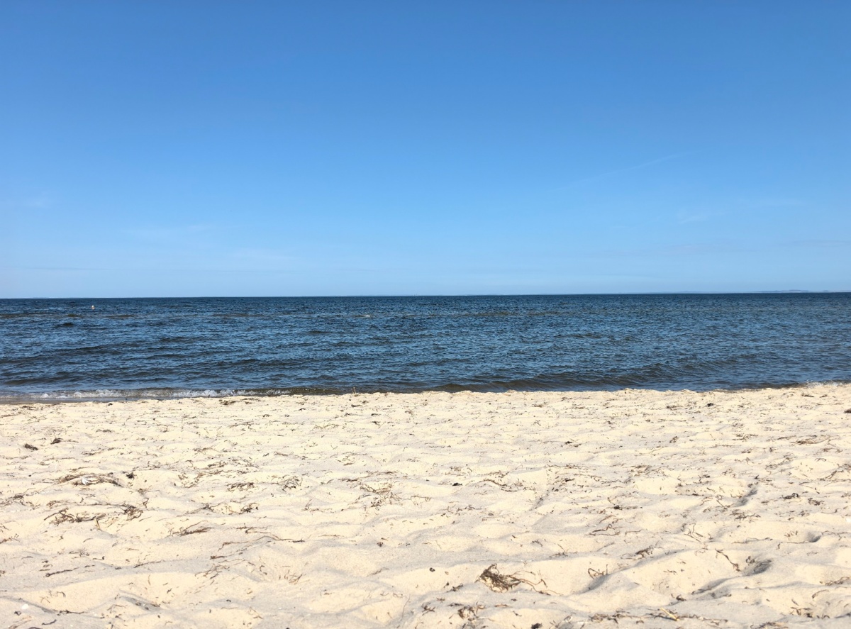 06dff093-2c26-4889-87e0-c0b962a88937