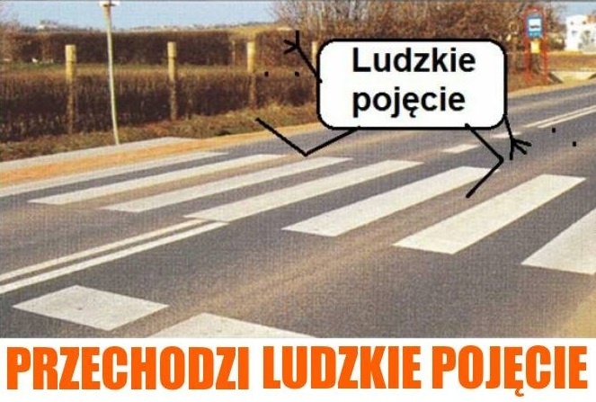 8d09cca7-f6e6-4e92-83bf-46e2467c6530