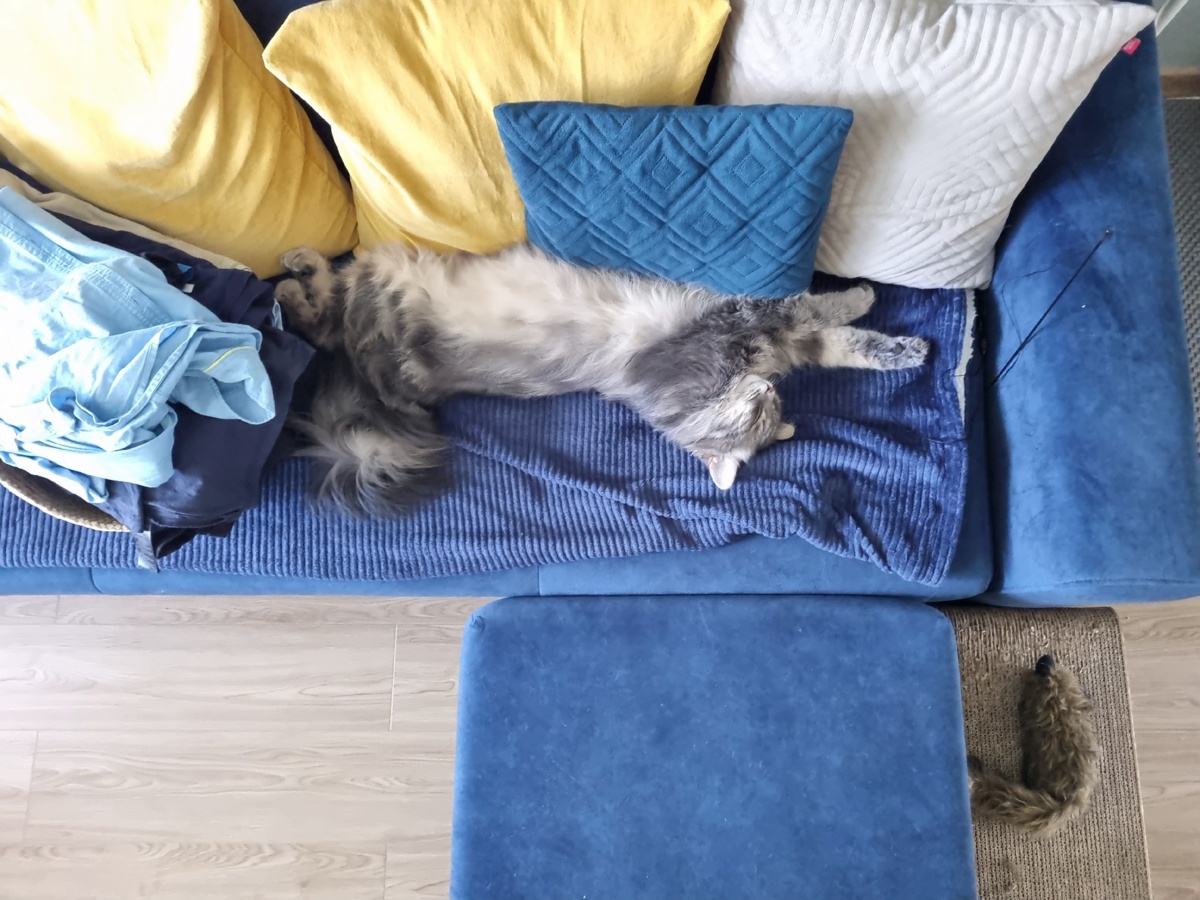 9734876d-3ed6-414d-87b0-d967f607725a