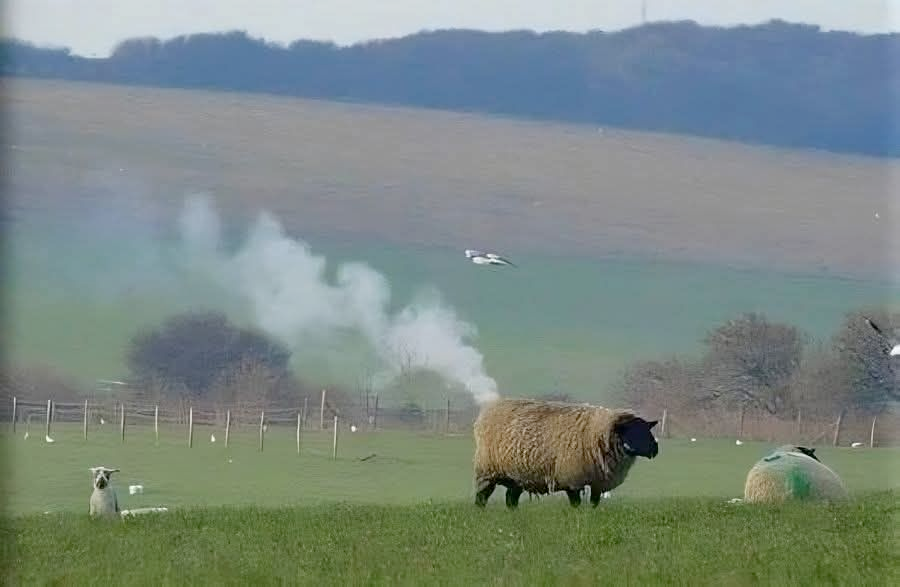 46ff9b58-ce85-4378-8cfc-aebae97847fb