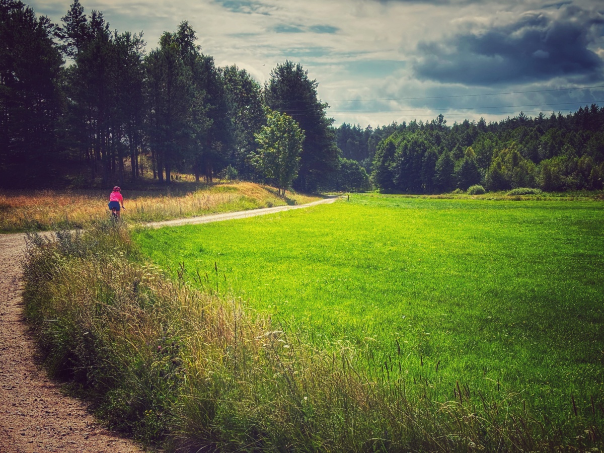 c4a3b8aa-1e42-47fb-89b5-221fef67ff60