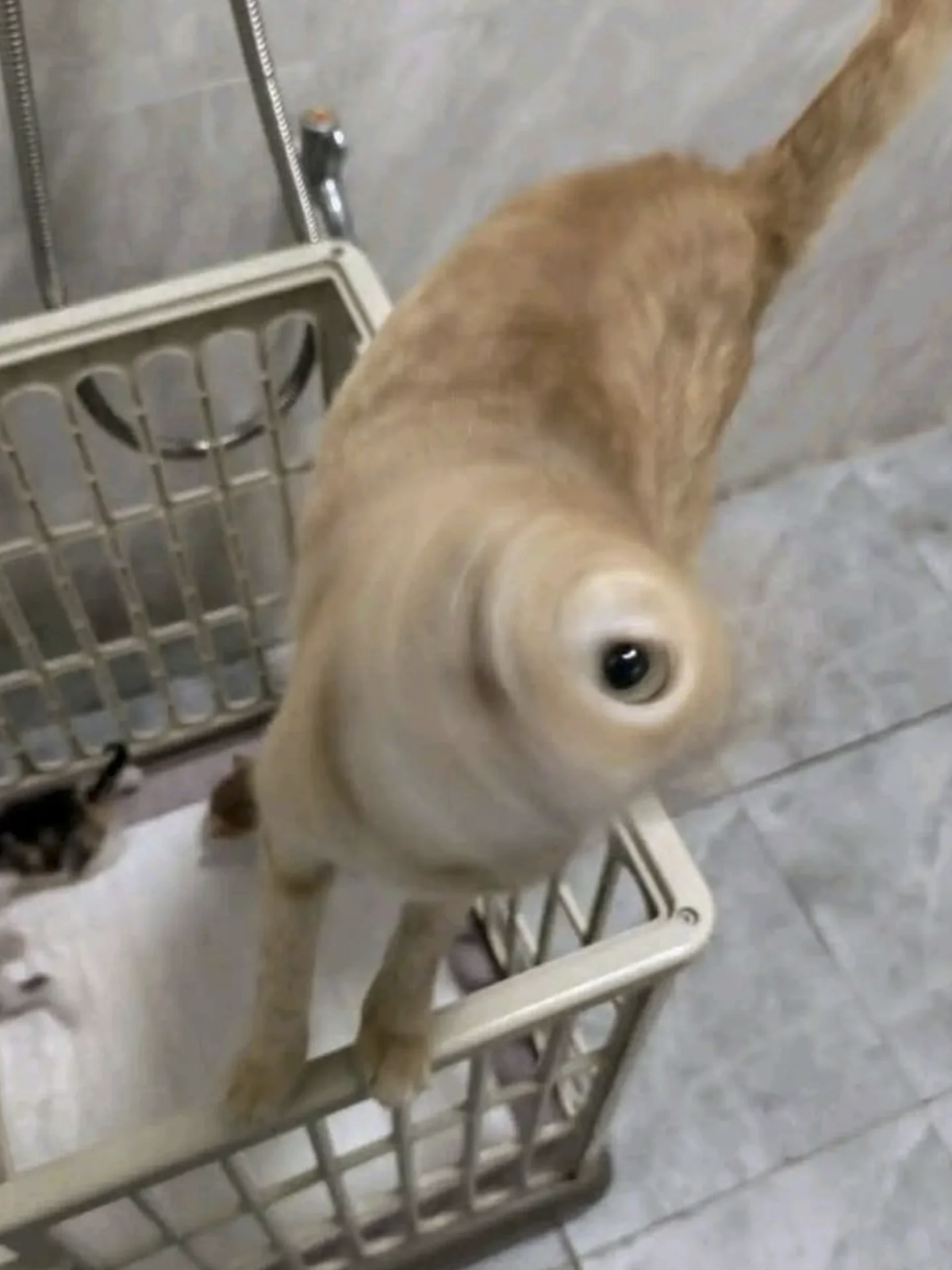 80801a32-7da0-442d-a951-2fae0cec8740