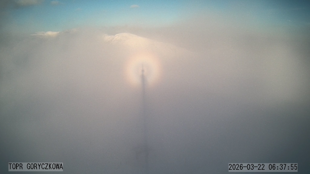 73af028c-1320-49f6-951e-70d54b91c17e