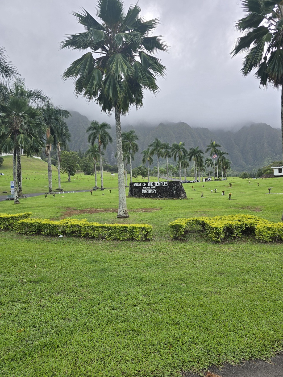 102f052d-8477-4a65-8a16-ba19d8a0b00a