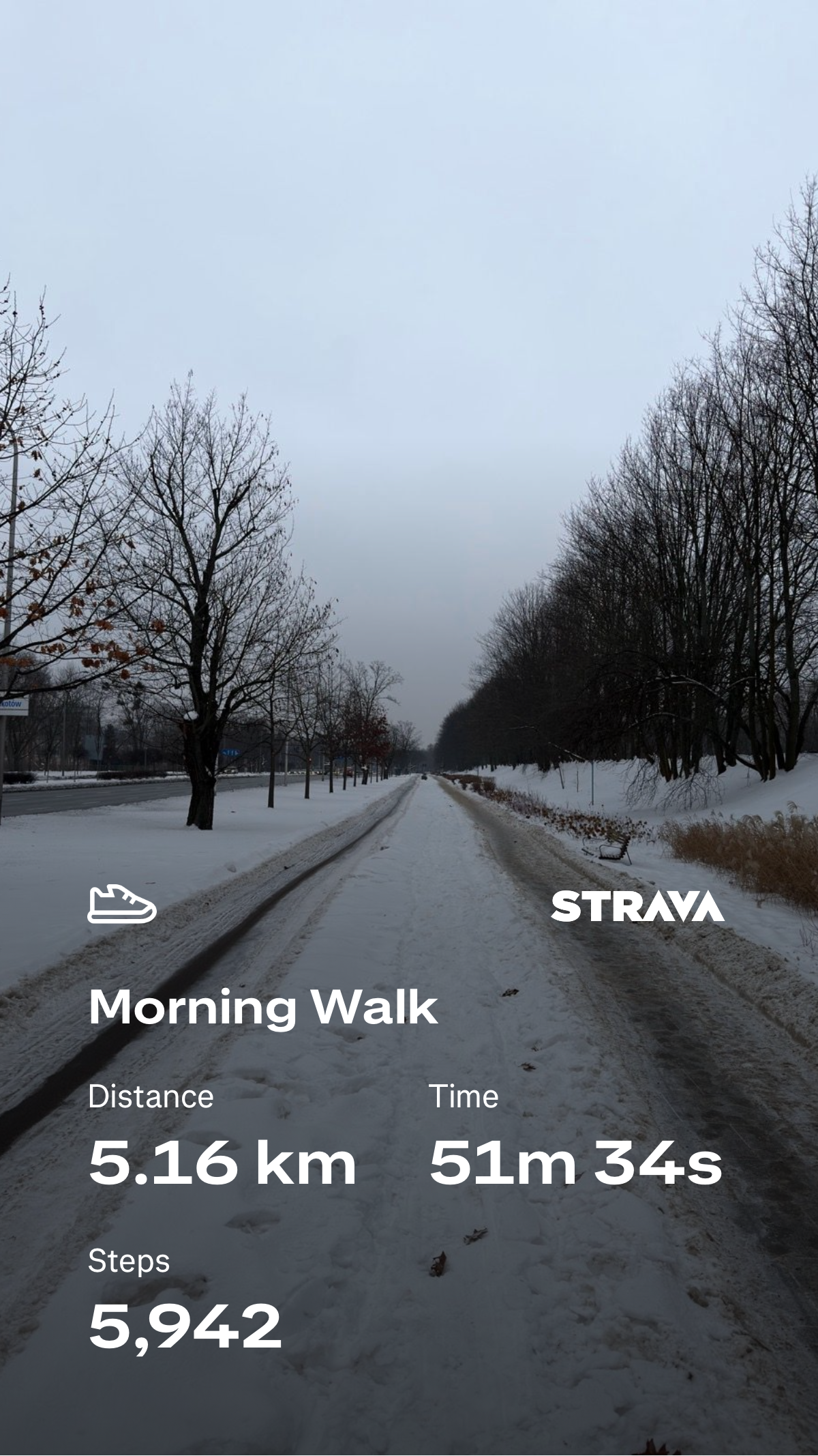 7ca3d772-5c78-4141-a917-289f49b2d8a6