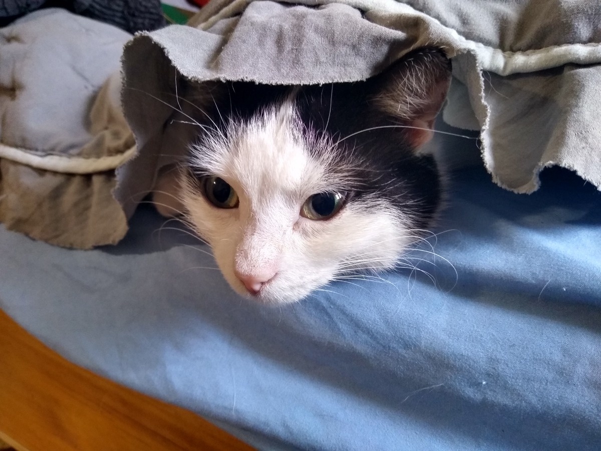 06cd3004-eb52-4ad5-8642-79477e7401af