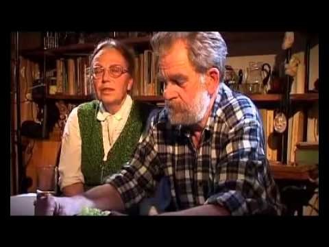 Plusy Dodatnie-Plusy Ujemne