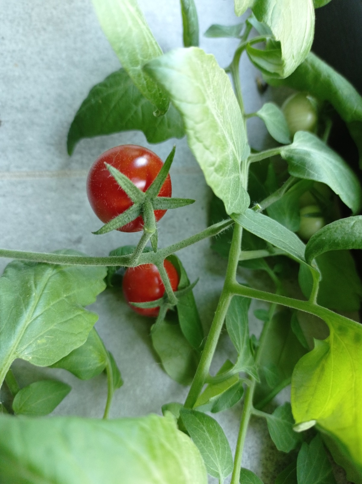 d173030c-e663-4ebe-b2c3-227cebed6a28