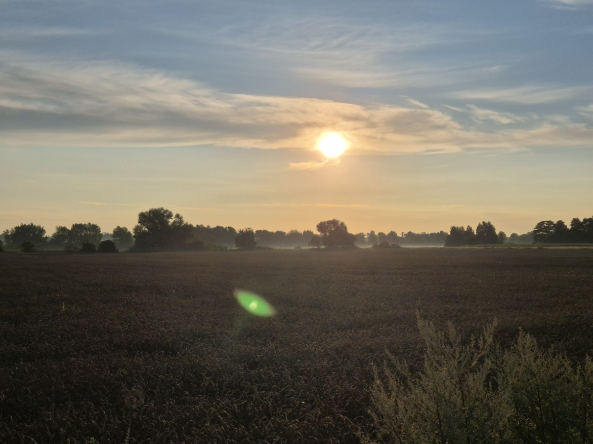 ebbefd59-8bb9-473e-8a1c-208cfc336548