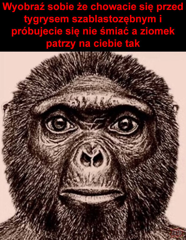 68082829-7831-4604-987c-f7041084c336