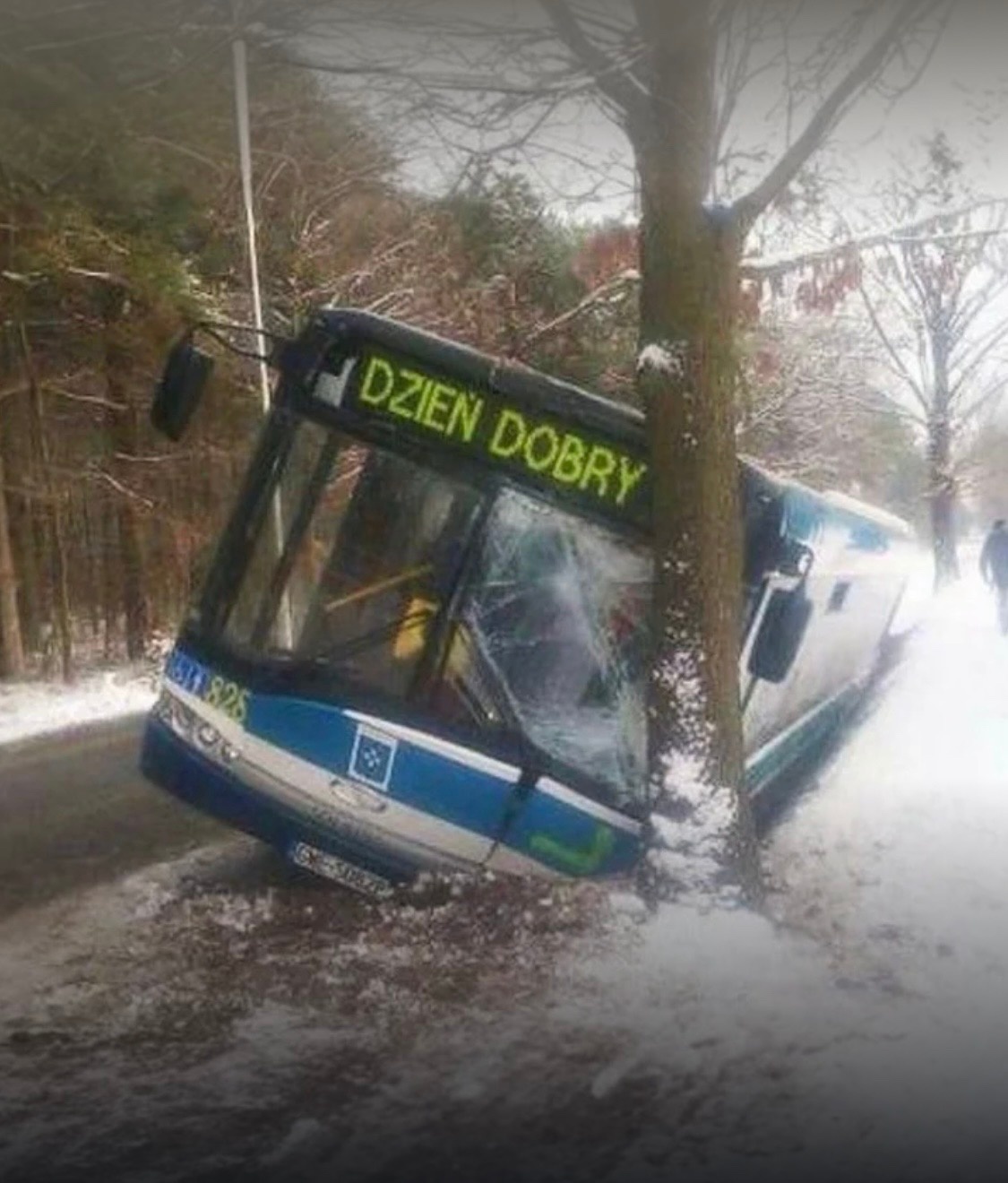 9b0b2c20-6457-4723-9525-3501c8f93252