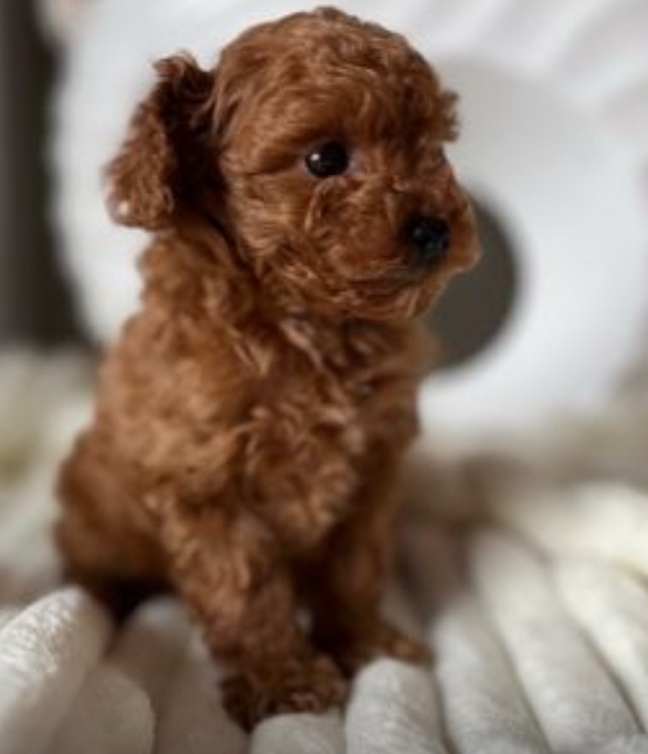 4f3fbf6e-c5b3-4619-ad52-71e3918aaa47