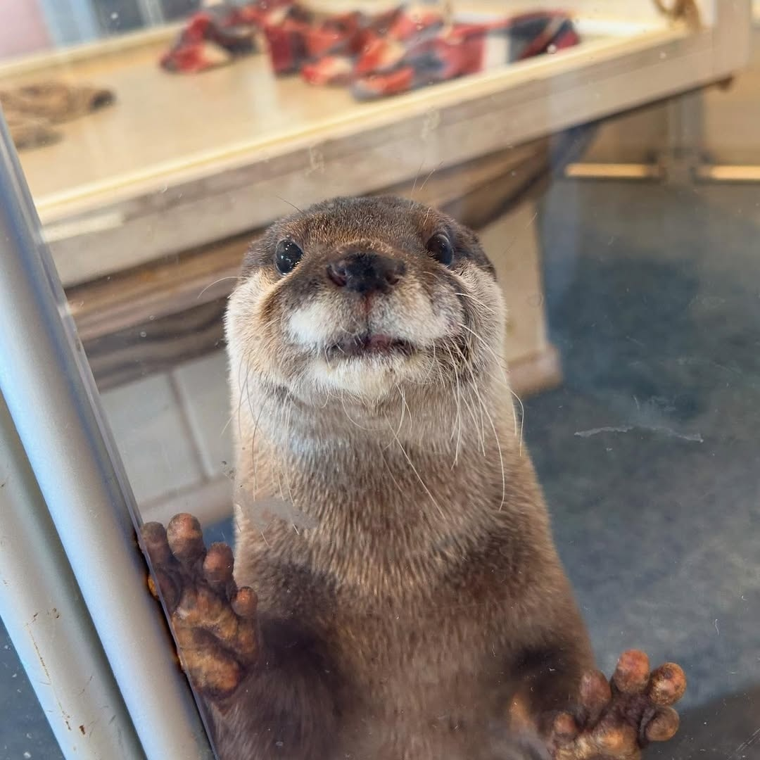 9be70f34-8e39-4938-a004-579be755aac8