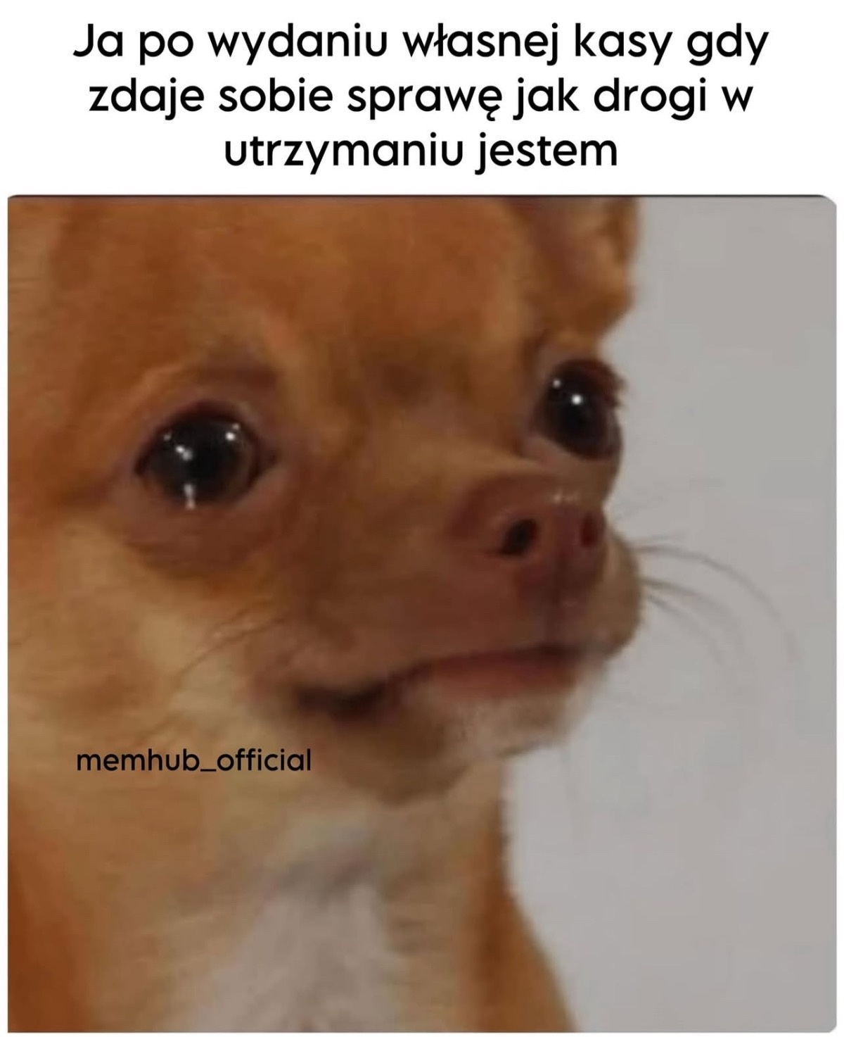 8a85236a-83af-428e-9dd8-74aebff08355