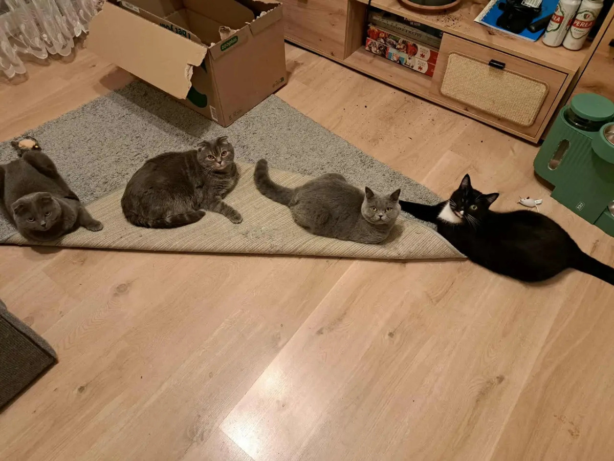 5efb97e3-17c0-476e-b23b-3d84820f5467