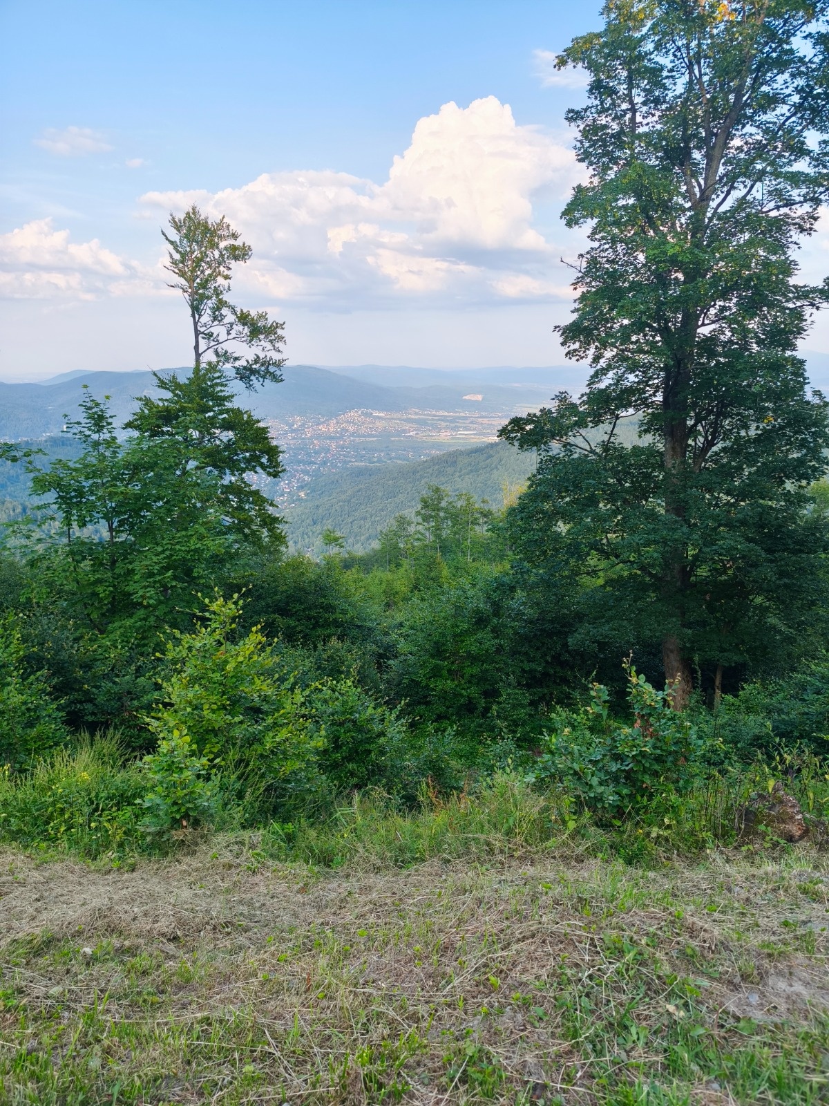 7ed0208e-32e5-402f-adec-011fdc7f873f