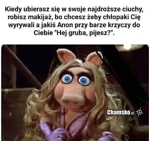 8ee2db42-cfc9-4004-b1e5-969d92b17e34