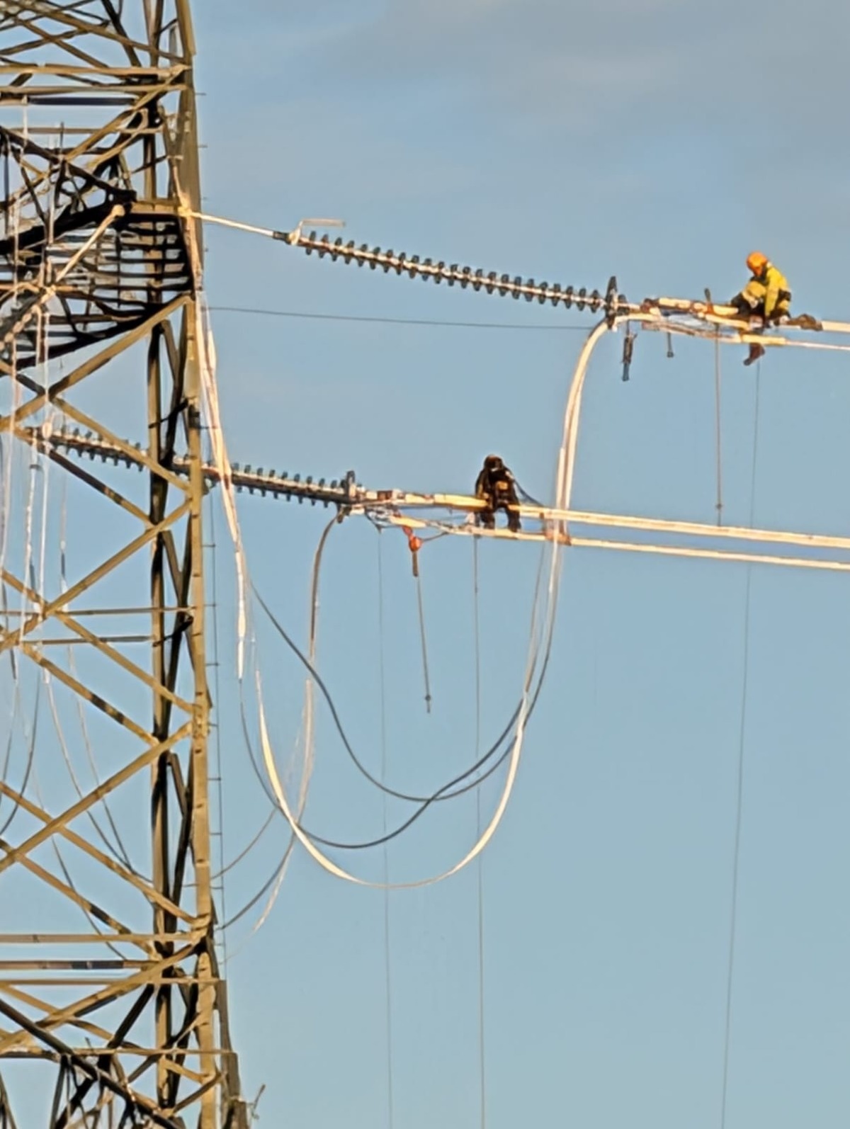 e1e0b31f-4503-40e2-9f4b-610962e71d48