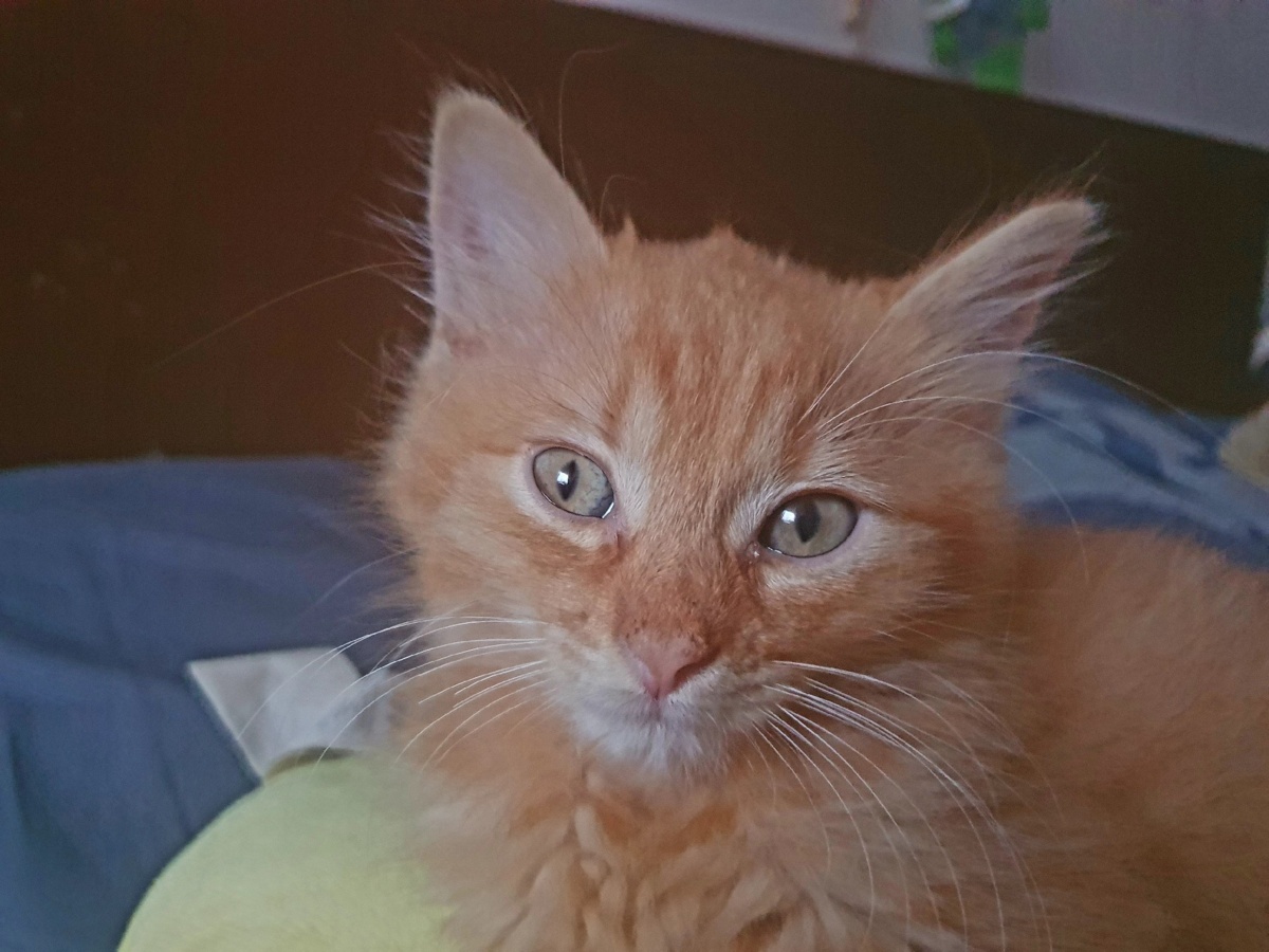 e4ff3b4d-6606-4107-83c1-cdc5e266b590