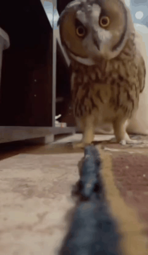 16635d85-29d1-429e-a559-d313b406bfc9