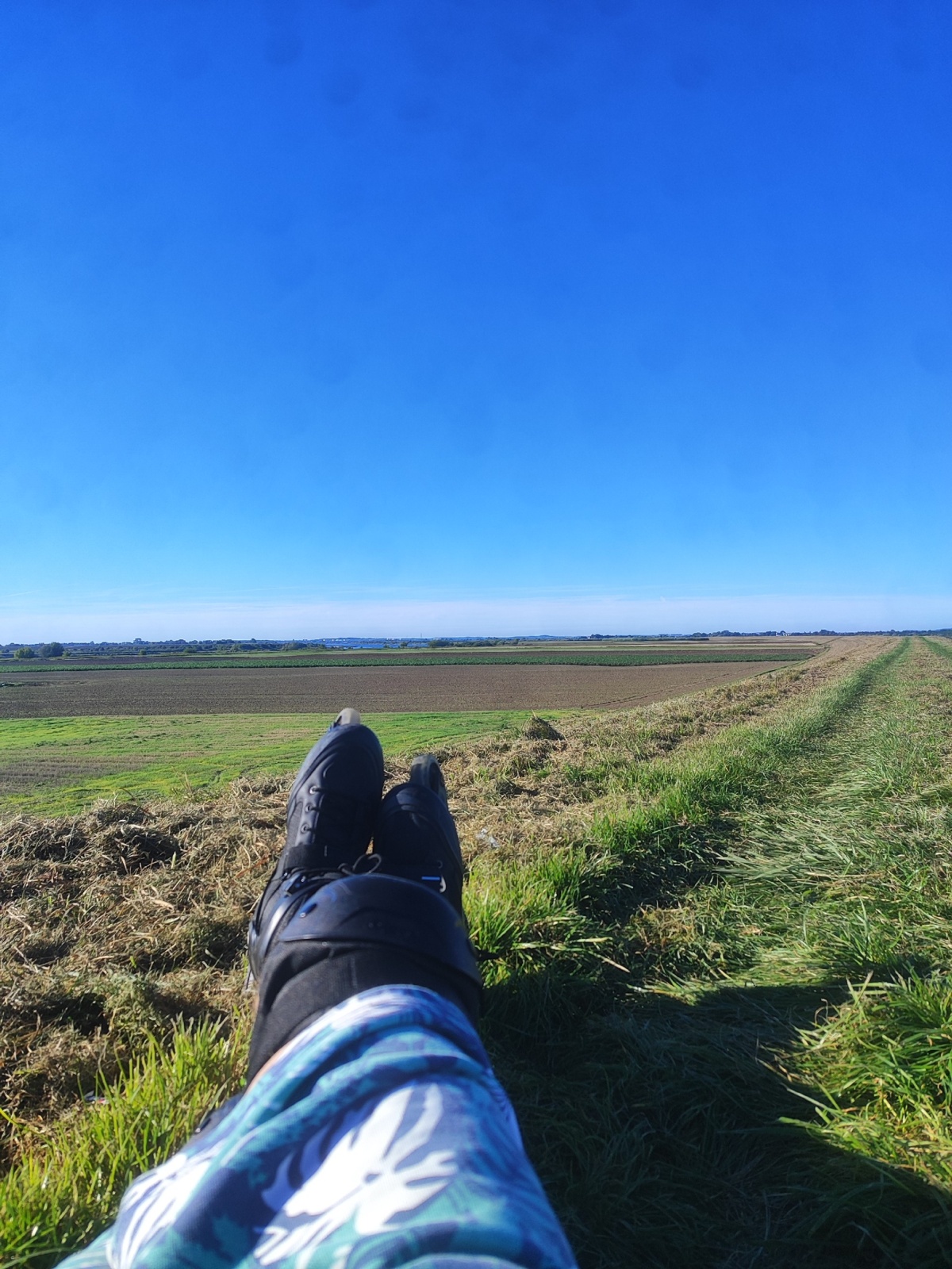 3e31e691-c2f9-4e3c-a43e-ca22881c9766