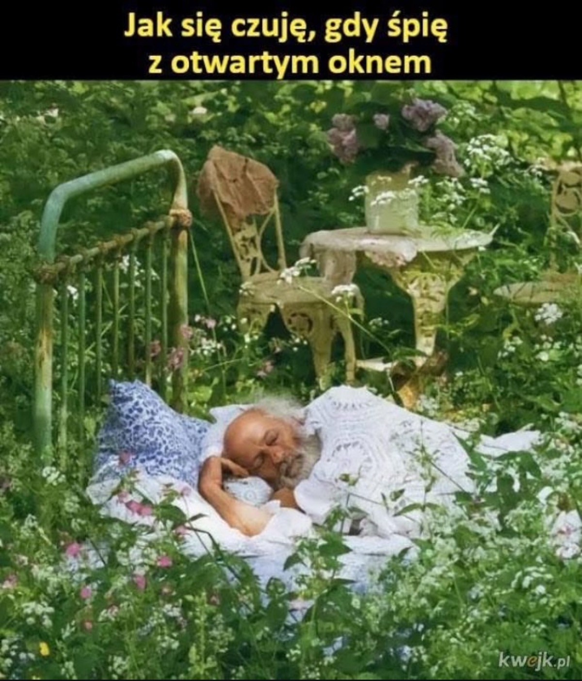 702b6c55-485d-41a9-a9ac-677b576ff967