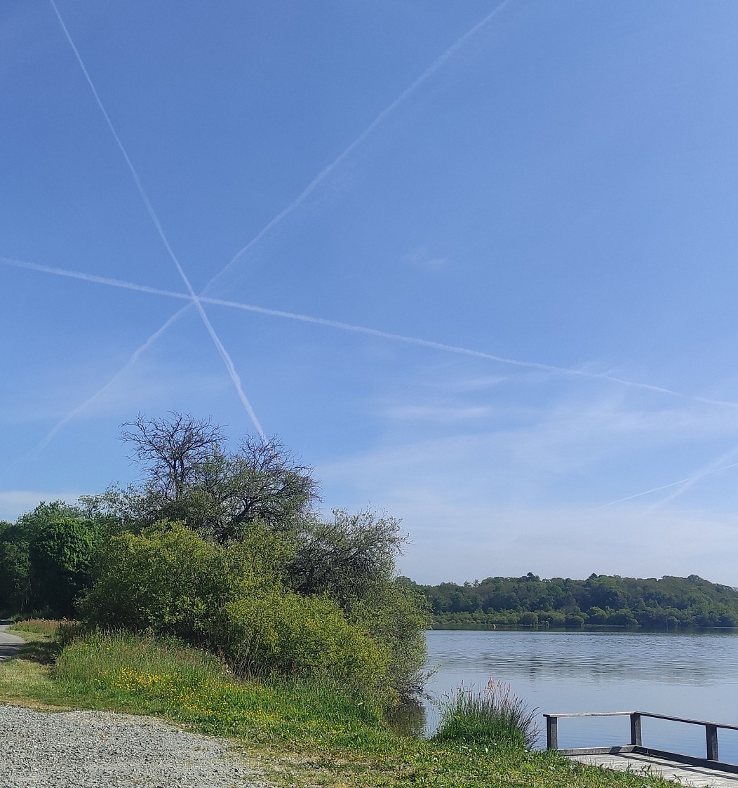 f8b2bfa4-5bf7-4656-bc8c-235a8eaf1e97