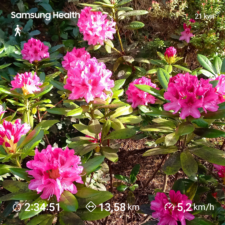 c24f66d7-24bb-4e1c-9449-7554fd84bd54