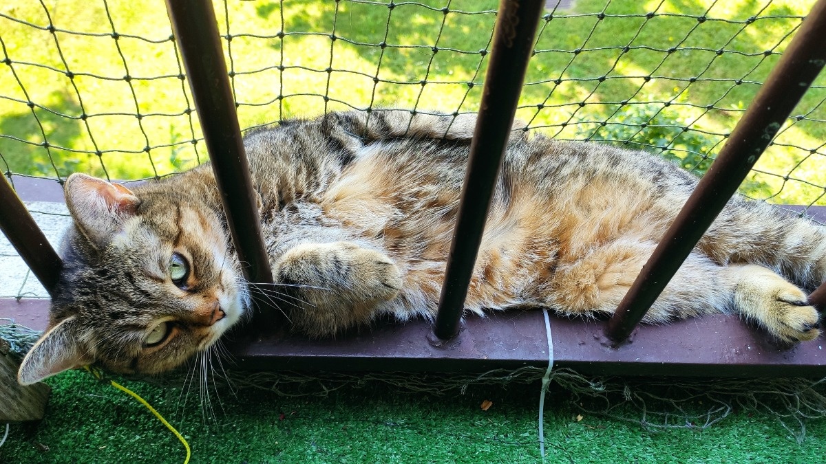 ad085737-3dfd-4e5f-8cfc-5ddcddaed636