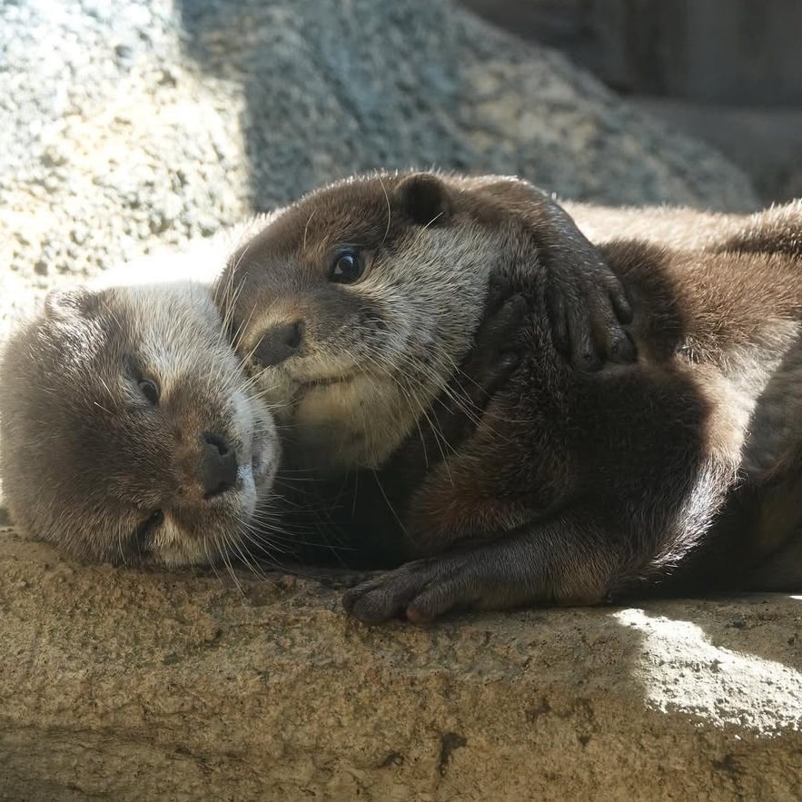 20616e92-5f78-4c05-9ef9-7f3ab974c77b