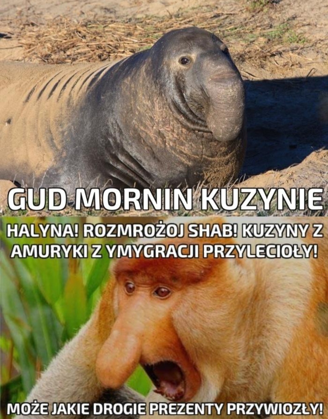 fd8e1846-44f7-4cd4-9611-e1ed65ab833a