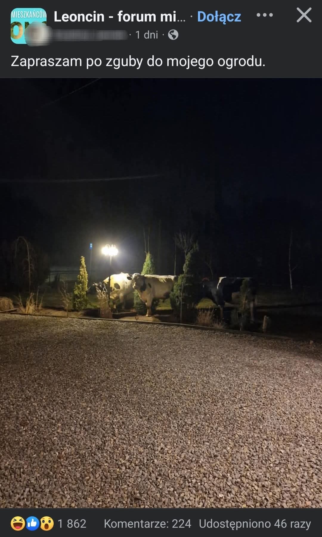 152832df-b2df-4305-910d-df9700bc4419