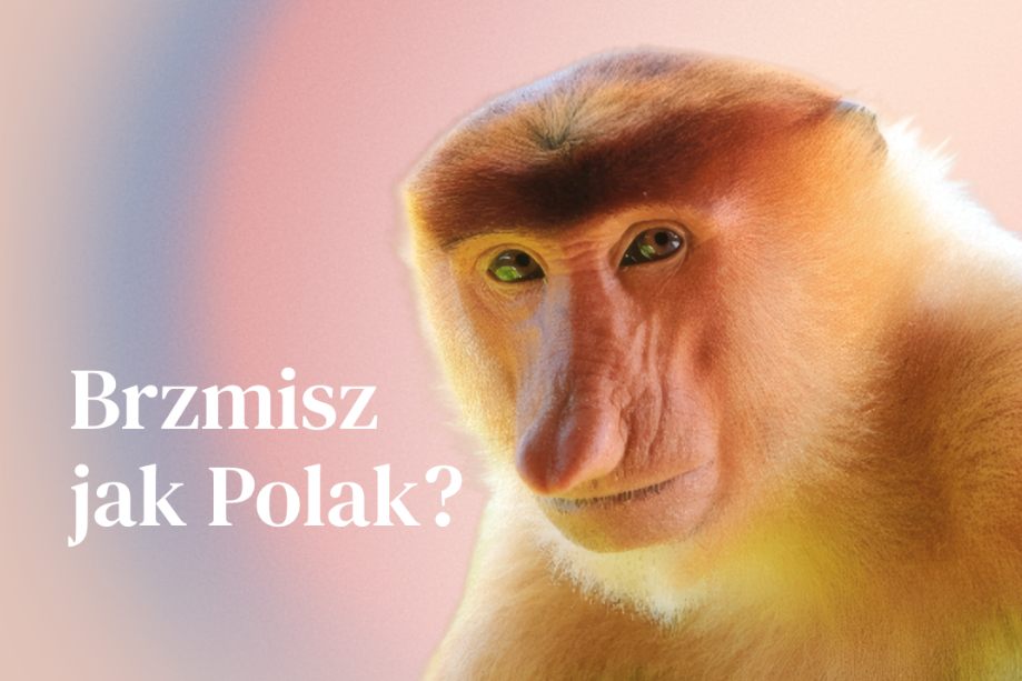 4fd31425-7ba9-4f04-8dad-32d2a2a69371