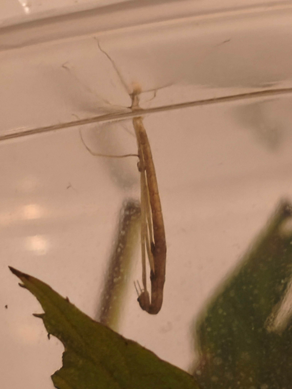 2a101afa-cdbd-4b16-89de-1b6c2cf9aed8