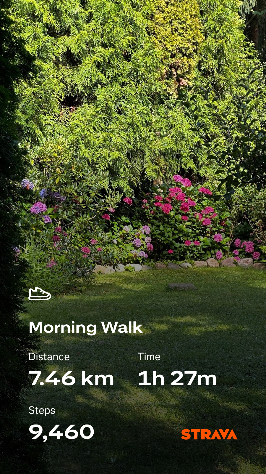 5497803b-029a-4a77-8fec-21d461ebdd57