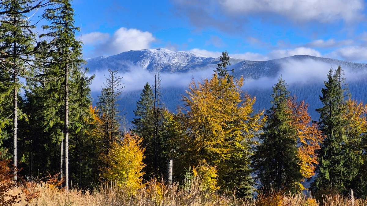 4d0701f3-8d52-4a2d-b53b-8e88cb96fba6