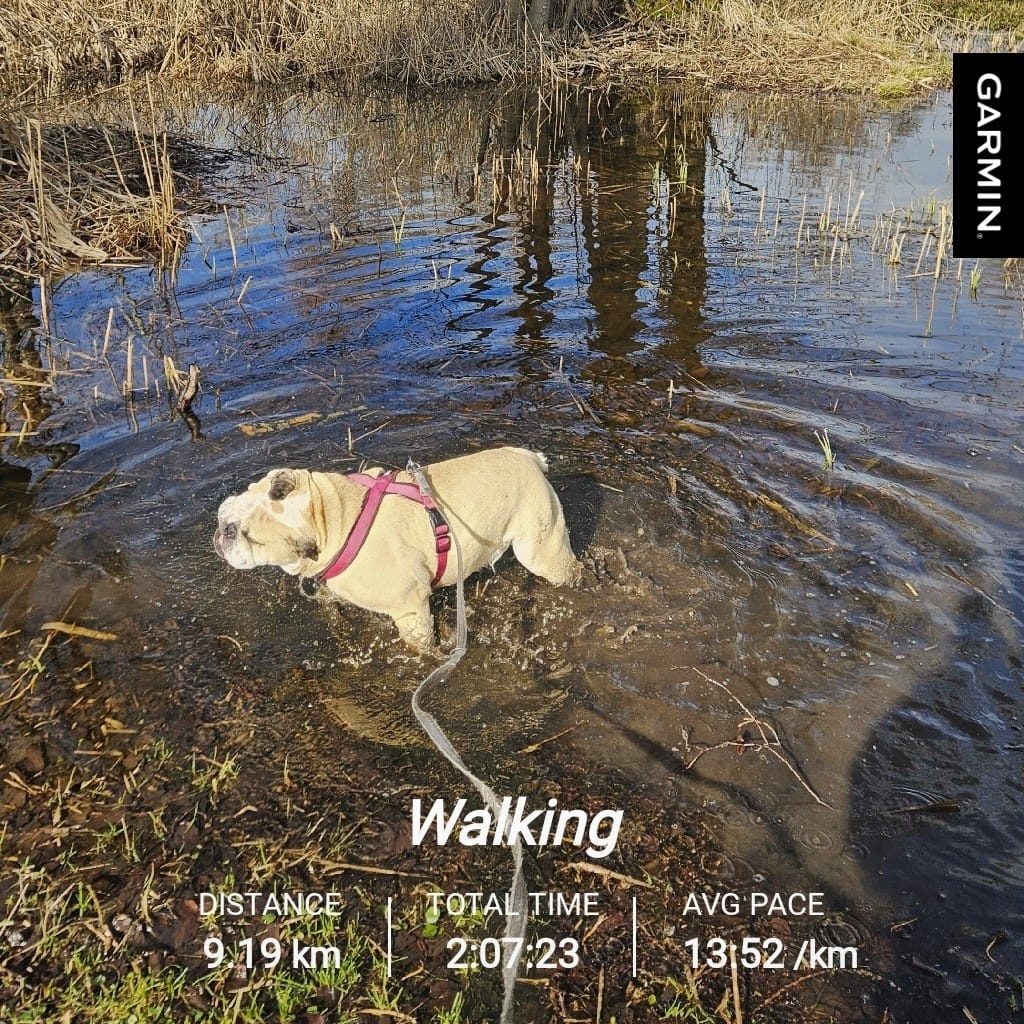 172234a8-991a-4524-88f1-44f7a6c76c5b