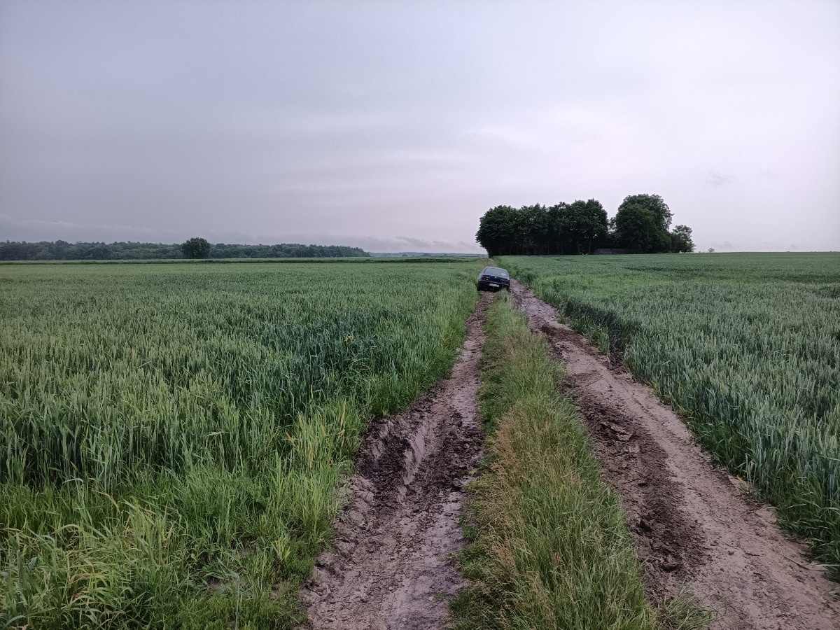 4a0d1fce-5e64-4f48-a9f1-06ee90227e61