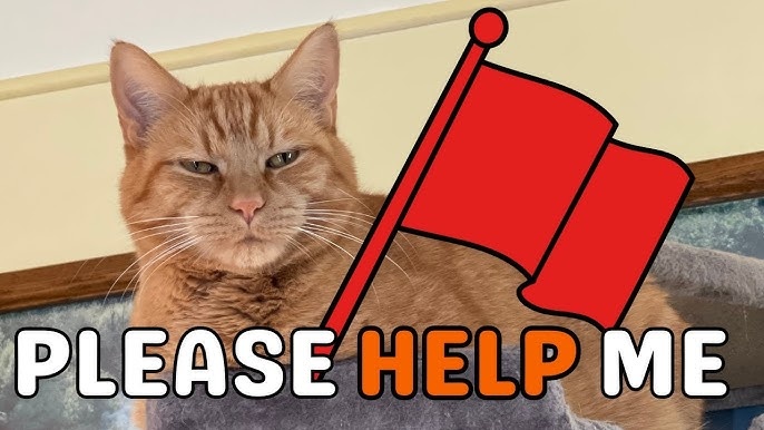 9da28b1c-4360-42ae-8717-ba36345fc83f