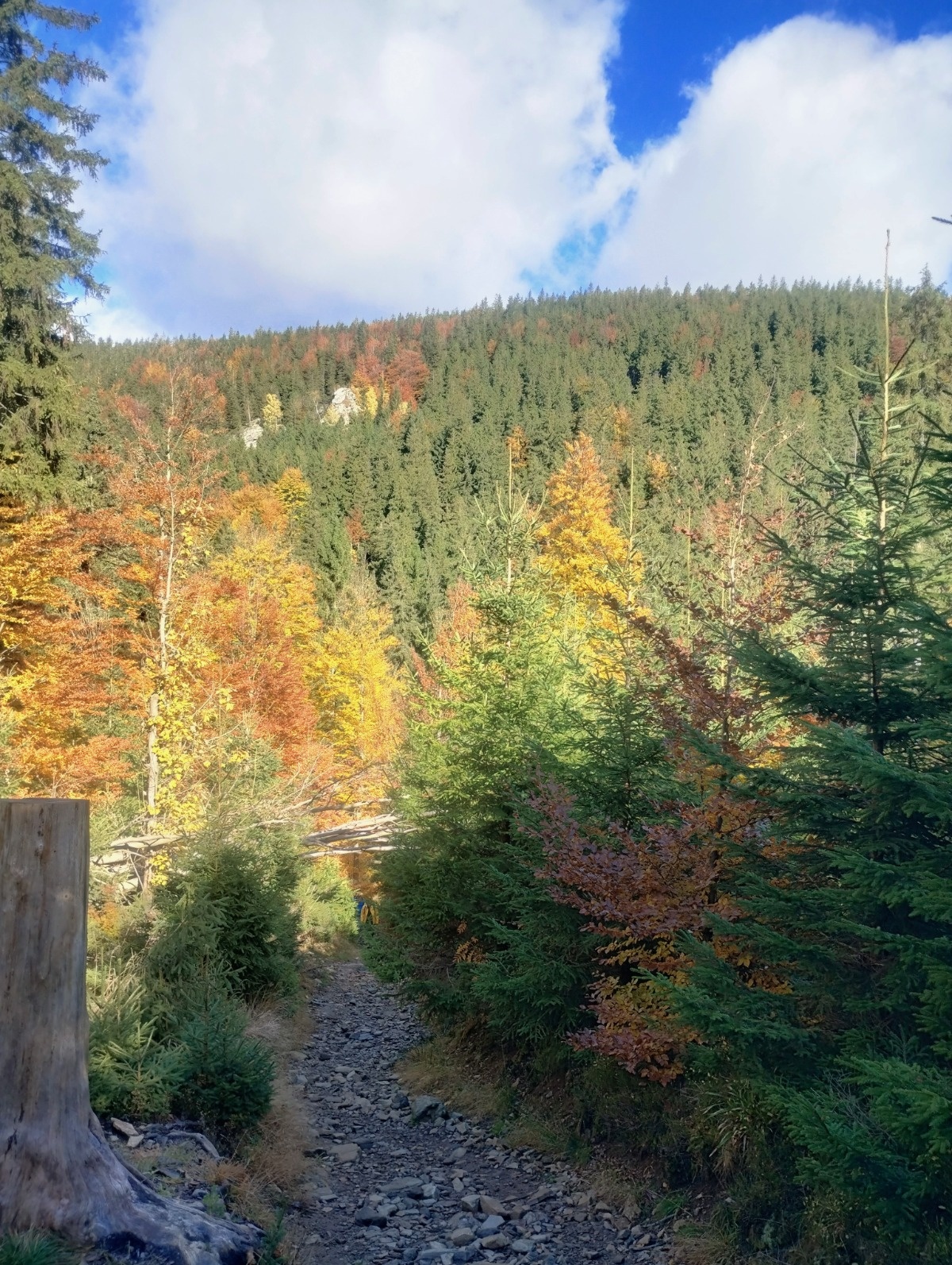 b954fe5d-7d89-4d89-a922-cb58fcb54681