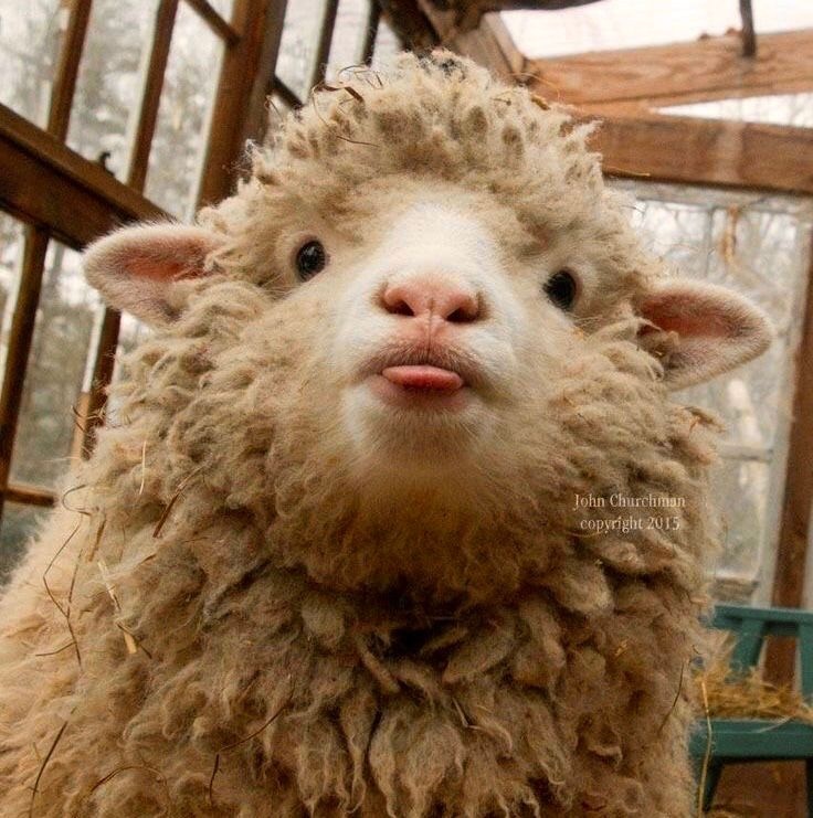 a0f6ac82-16af-490f-aad6-298b708d948d