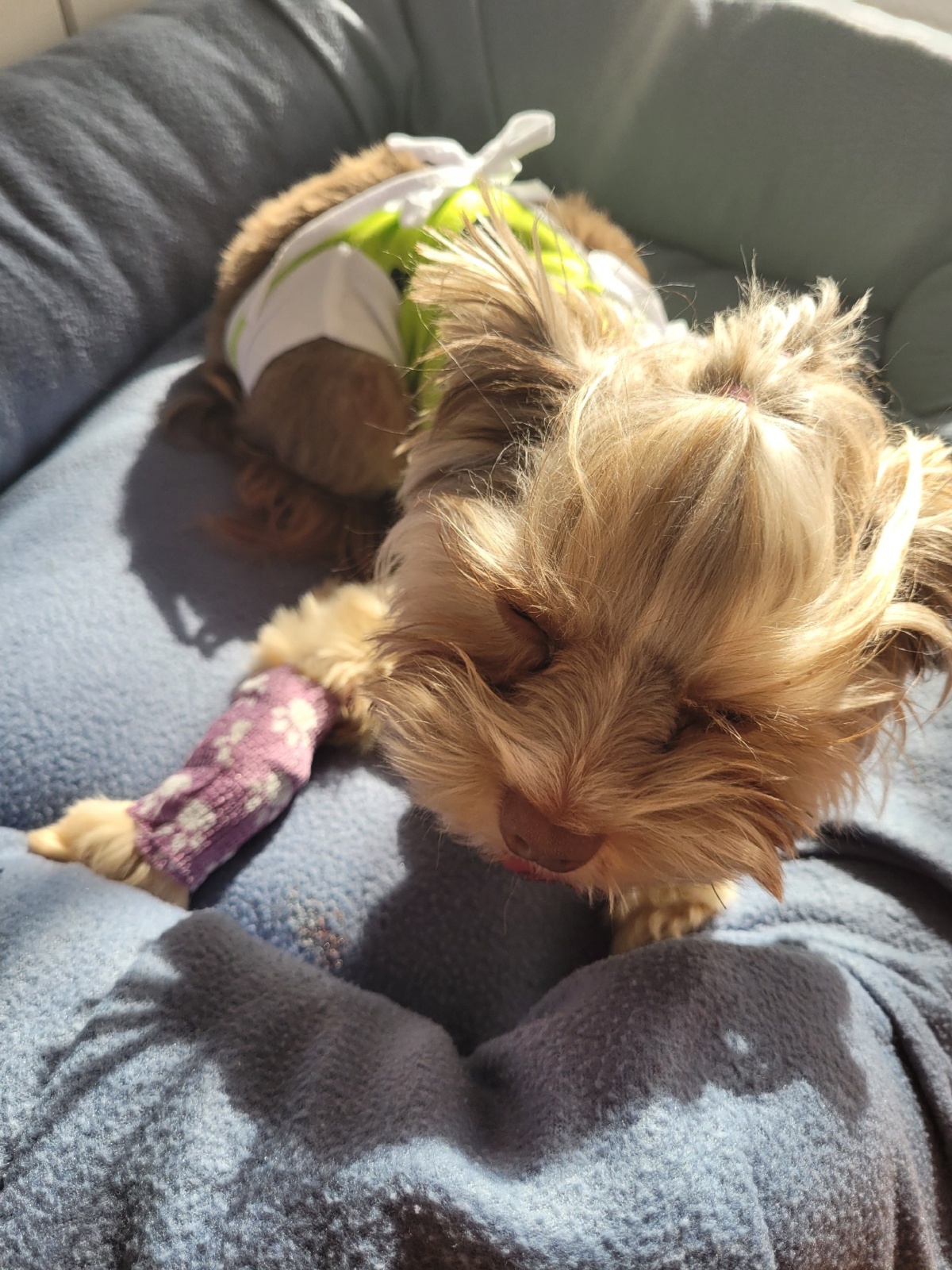 e2e63f54-2af6-44ed-ade4-15f550d799fa