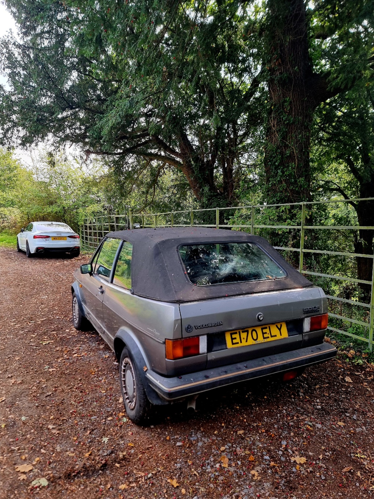 e8620223-c964-4179-b61d-ecd51c010007