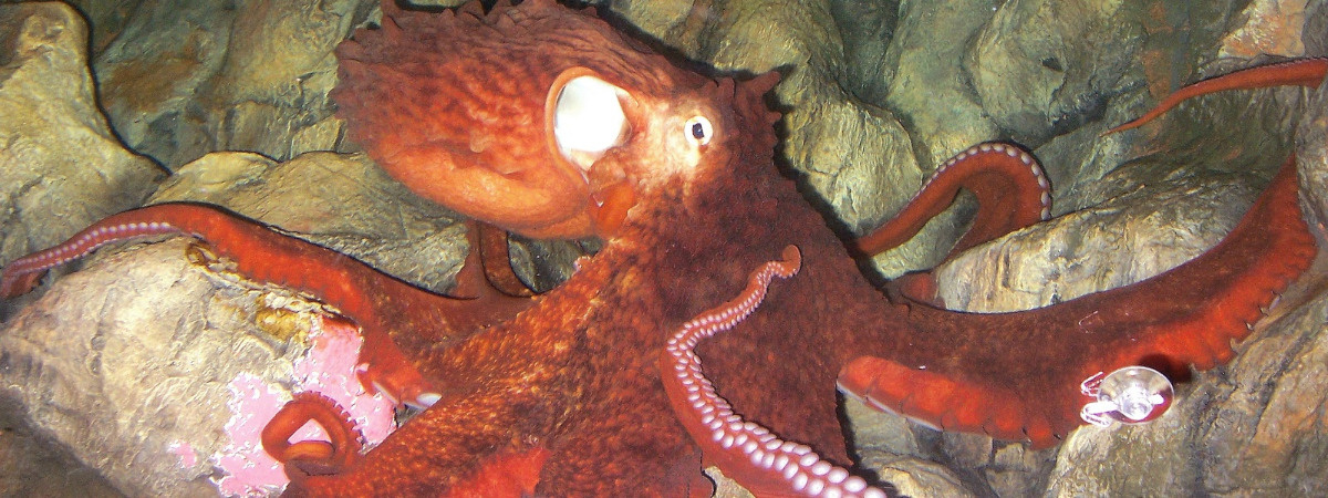 7e4ec9c0-6579-4d02-8d5c-00ad92ea7beb