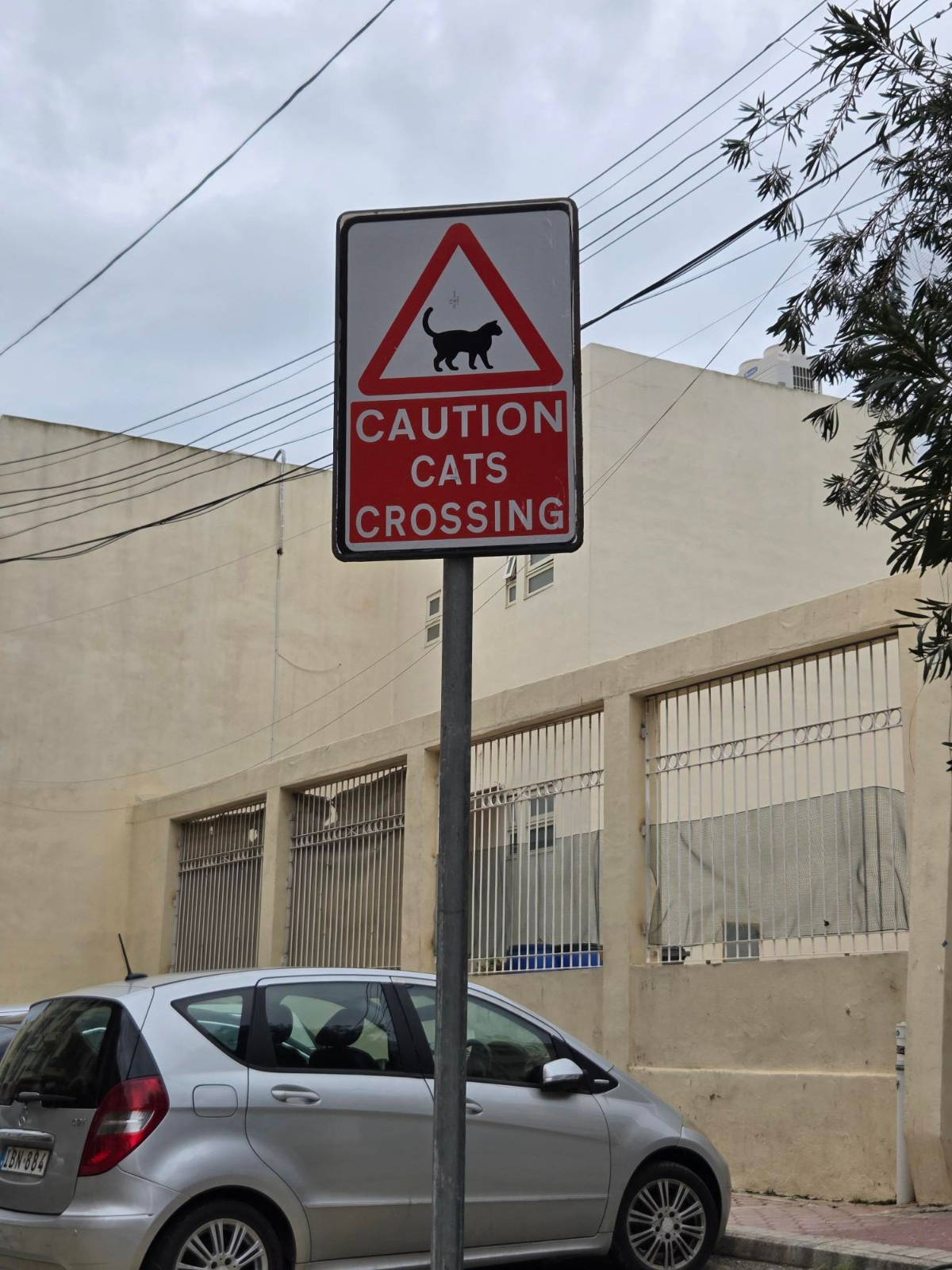 f890b123-7091-4546-a853-118f43bc518b