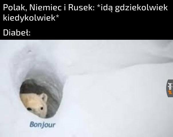 77642c37-e5b5-45da-bc97-c55f758518c4