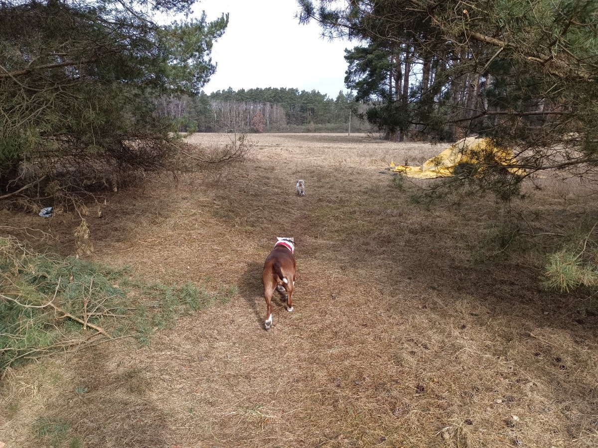 baa79a59-a16d-4bb8-b4f1-35fff751815b