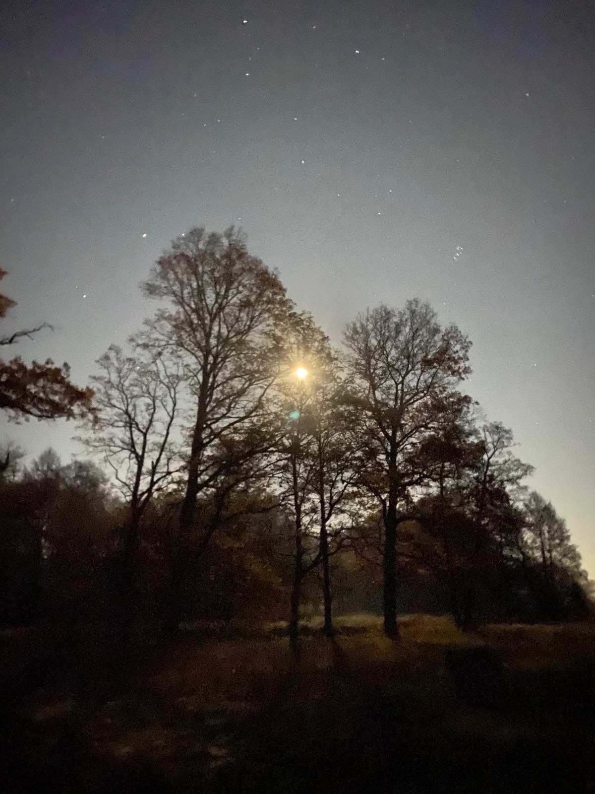 0c33ae3e-05e9-4231-a1a9-01ff4a0b7c3a