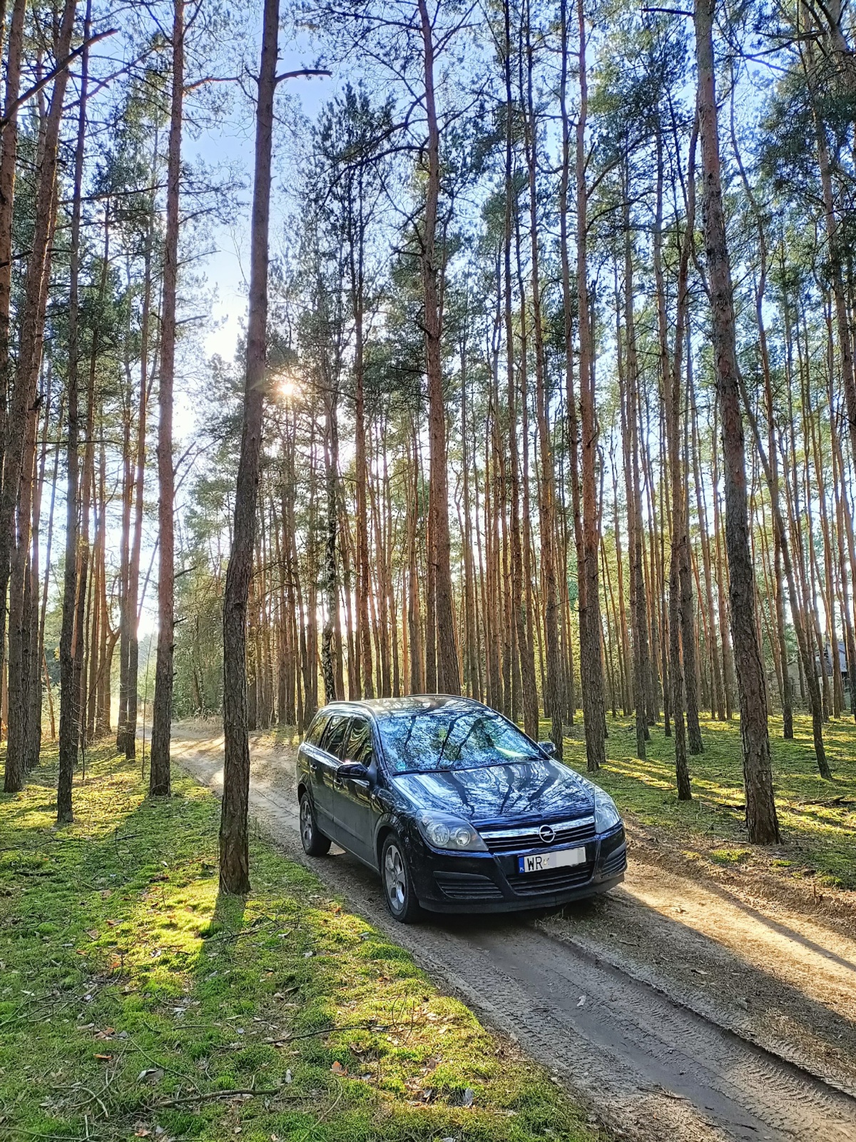 ccc24d8c-87a0-4501-b777-bc59401070ed